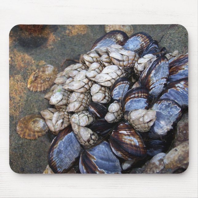Goosenecks und Miesmuscheln Mousepad (Vorne)