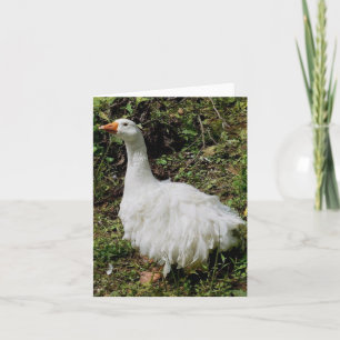 Goosey Greeting Karte