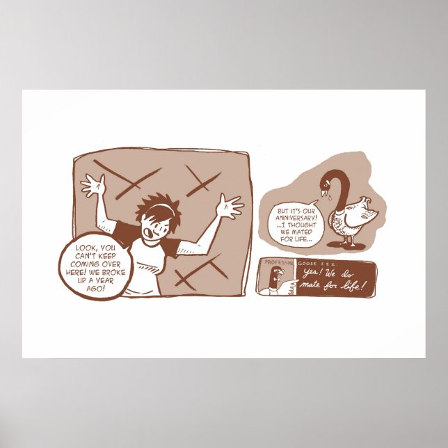 Goosiderer Poster (Vorne)