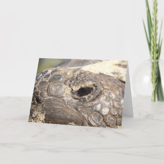 Gopher-Schildkröte nicht glücklich Karte