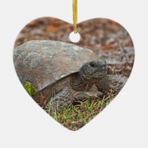 Gopher-Schildkröten-Schildkröte Keramikornament
