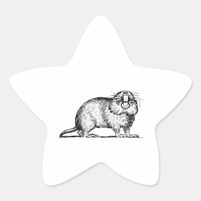 Gopher Stern-Aufkleber (Vorderseite)