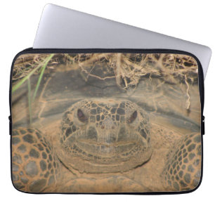Gopher Tortoise im natürlichen Lebensraum Laptopschutzhülle
