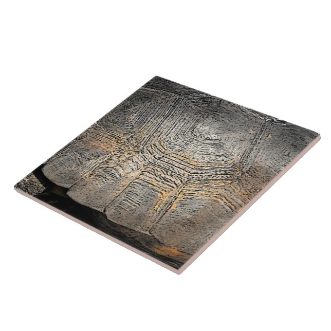 Gopher Tortoise Muschel Design Fliese (Seite)