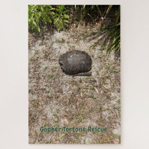 Gopher Tortoise Rescue - leise Rätsel