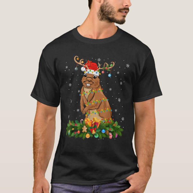 Gopher Xmas Lighting Rentier Weihnachtsmannmütze G T-Shirt (Vorderseite)