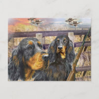 Gordon Setter auf einer Jagdgeschenke