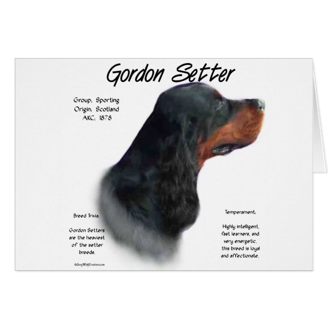 Gordon Setter Conception de l'histoire (Devant horizontal)