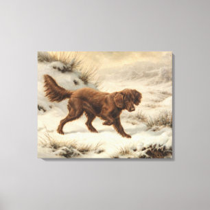 Gordon Setter Dog in einer schneesicheren Winterla Leinwanddruck