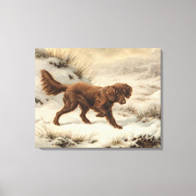 Gordon Setter Dog in einer schneesicheren Winterla Leinwanddruck (Vorderseite)