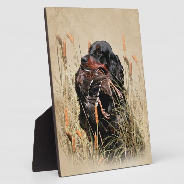 Gordon Setter, Entenjagd Fotoplatte (Seite)