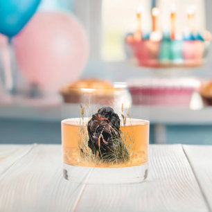 Gordon Setter, Entenjagd Whiskyglas