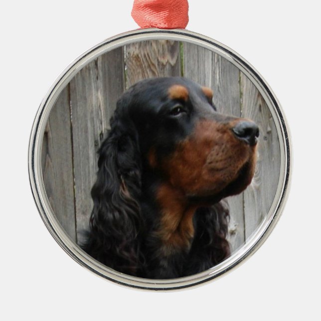 Gordon Setter Foto Ornament (Vorne)