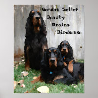 Gordon Setter Generationen Zeichnen Poster