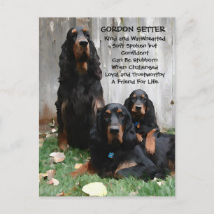 Gordon Setter Generations Peinture Carte postale