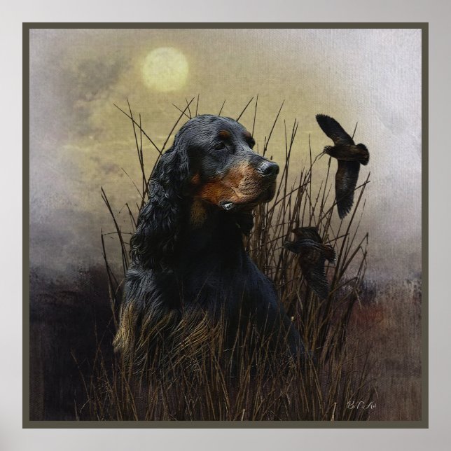 Gordon Setter , Jagdbegleiter Poster (Vorne)