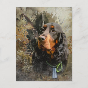 Gordon Setter Postkarte