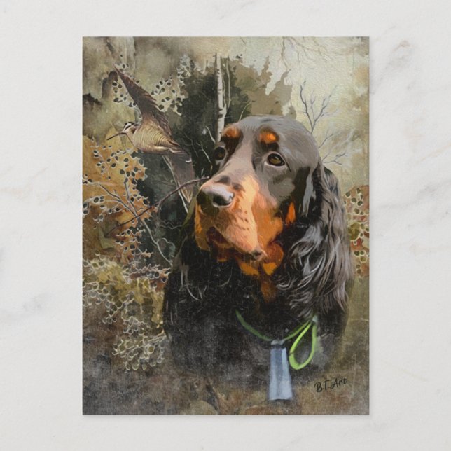Gordon Setter Postkarte (Vorderseite)