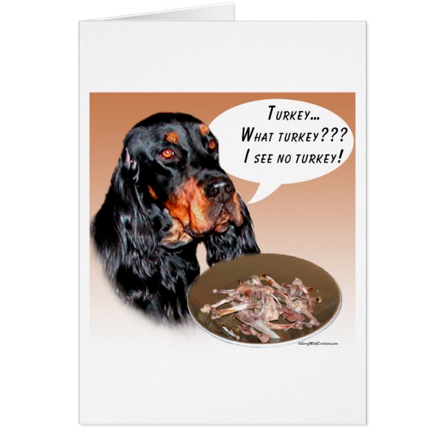 Gordon Setter Turquie (Devant)