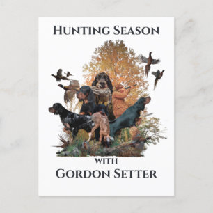 Gordon setters , Art Postkarte