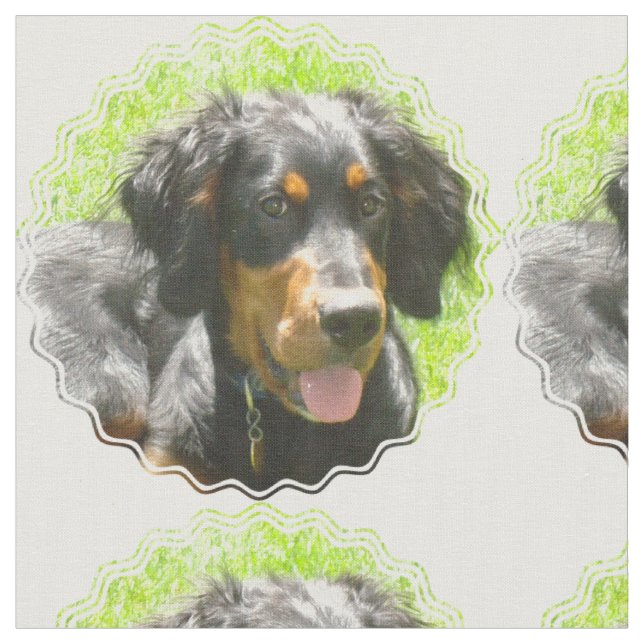 Gordon-Setzer-Hund Stoff (Nahaufnahme)