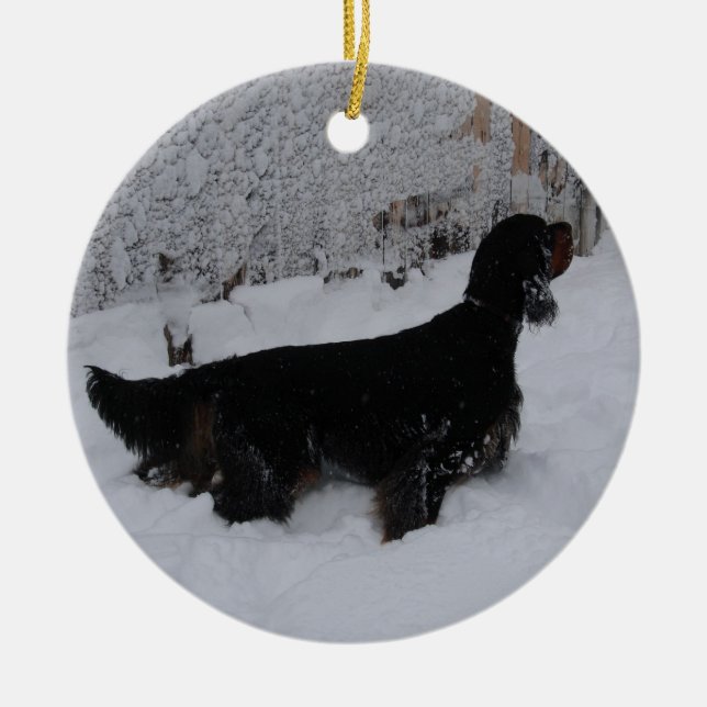 Gordon-Setzer in einer Schneesturm-Verzierung Keramik Ornament (Vorne)