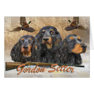 Gordon-Setzer-Jagd-Fasan