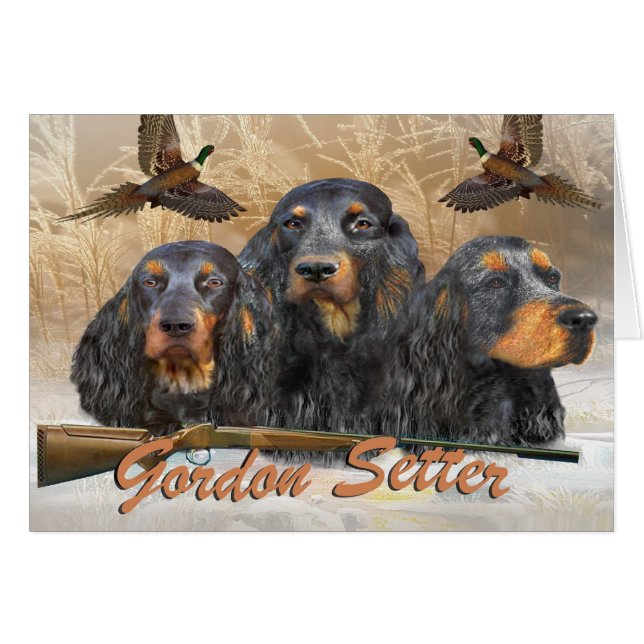 Gordon-Setzer-Jagd-Fasan (Vorderseite (Horizontal))