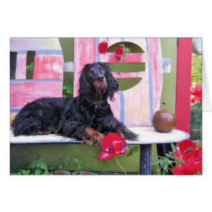 Gordon-Setzer Shania