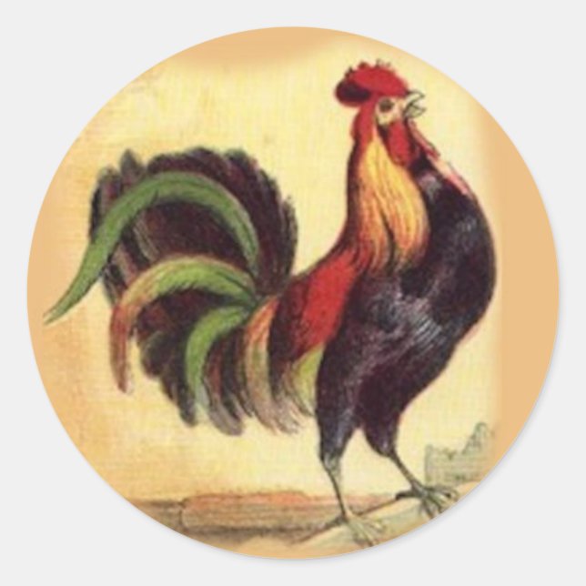 Gorgeoud Rooster Stickers (Vorderseite)