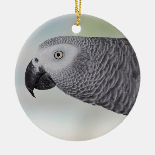 Gorgeous African Gray Parrot Keramikornament (Vorne)