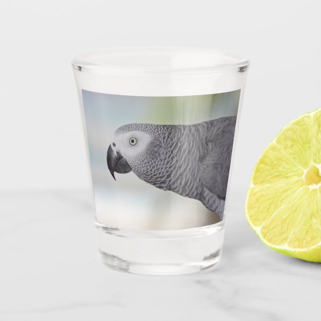 Gorgeous African Gray Parrot Schnapsglas (Vorderseite)