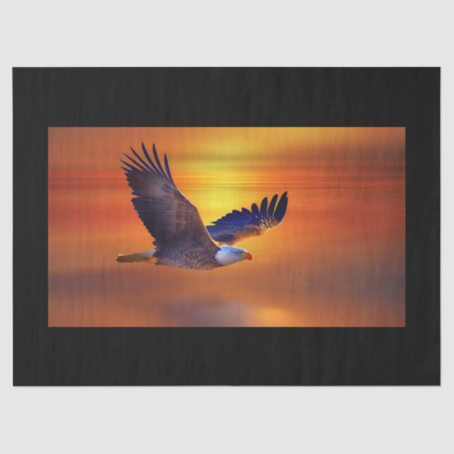 Gorgeous Bald Adler Flight Sunset Seidenpapier (Vorderseite)