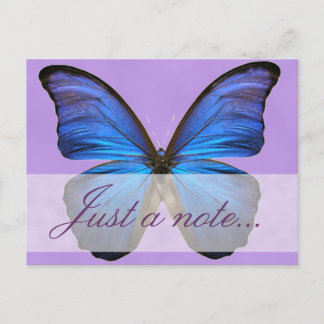 Gorgeous Blue Morpho Butterfly Postkarte