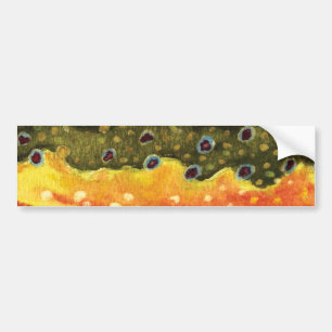 Gorgeous Brook Trout Fly Fishing Fisherman Angler Autoaufkleber