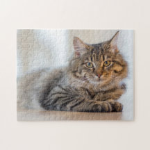 Gorgeous Cat Staring At You Jigsaw Puzzle