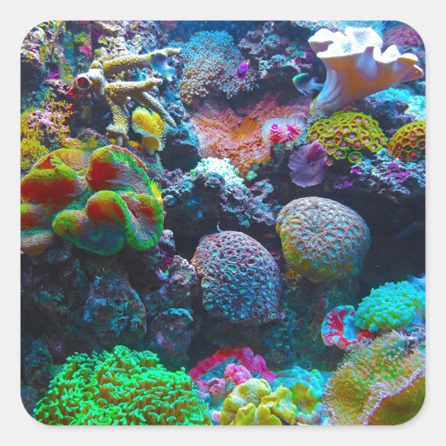 Gorgeous Coral Reef Quadratischer Aufkleber (Vorderseite)