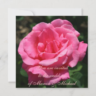 Gorgeous Deep Pink Rose Einladung
