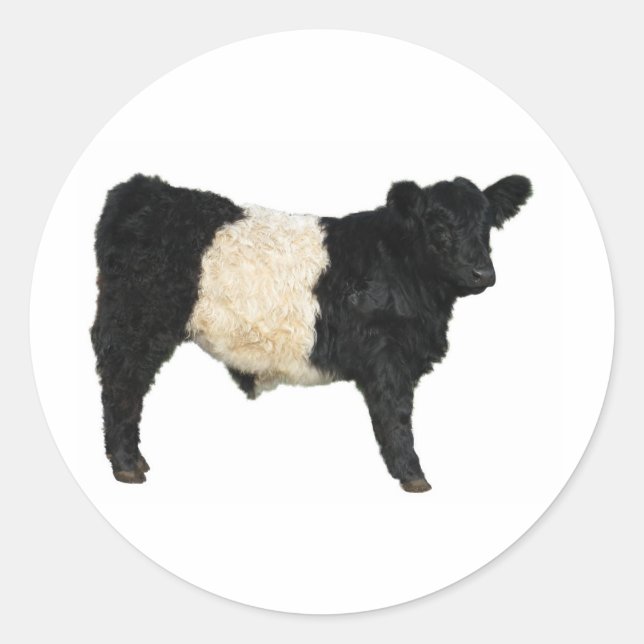 Gorgeous Galloway Steer Cutout Runder Aufkleber (Vorderseite)