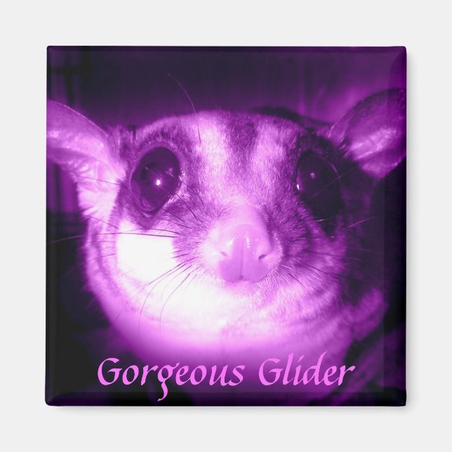 Gorgeous Glider Magnet (Vorne)