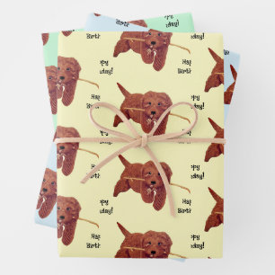 Gorgeous Golden Doodle Geschenkpapier Set