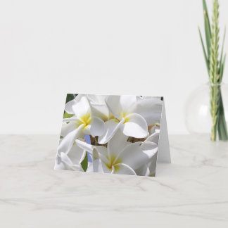 Gorgeous Hawaiian Plumeria Note Card Karte
