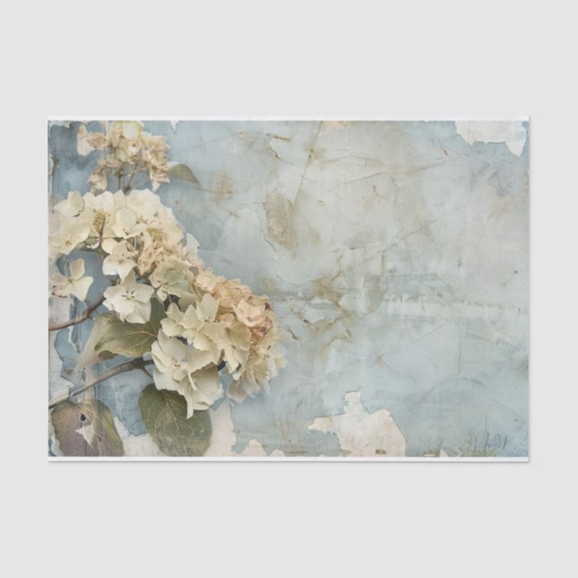 Gorgeous Hydrangea Gift Wrap Tissue Seidenpapier (Vorderseite)