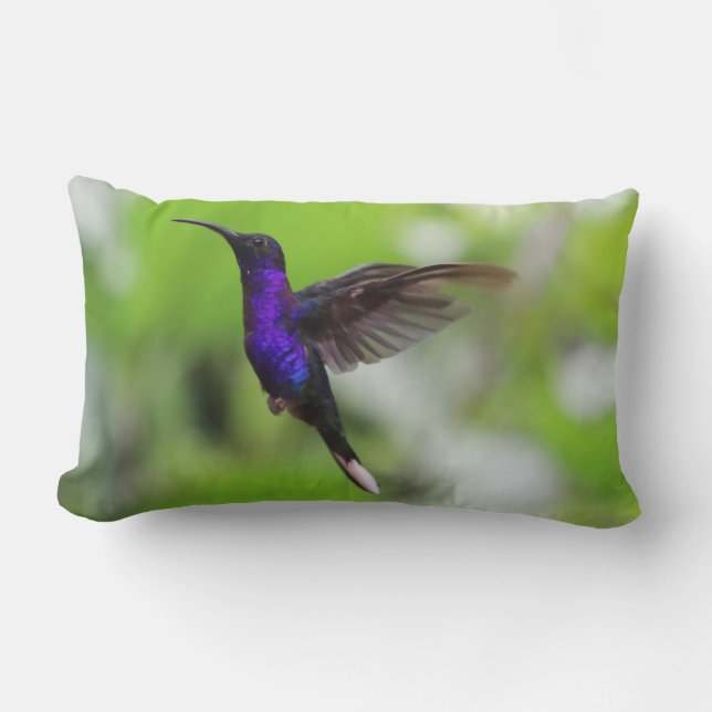 Gorgeous lila Kolibri Lendenkissen (Vorderseite)