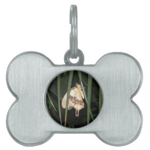 Gorgeous Moth Pet Tag Tiermarke