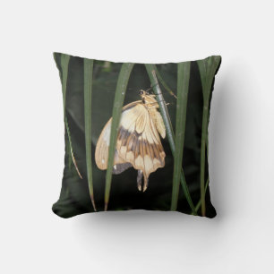 Gorgeous Moth Pillow Kissen