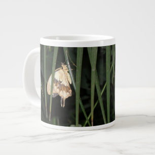 Gorgeous Moth Tasse