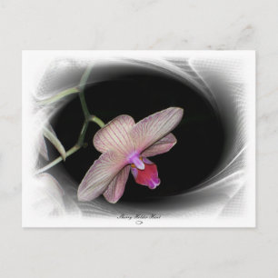 Gorgeous Petals 11 Postkarte