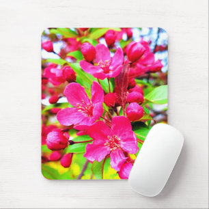 Gorgeous Red Barron Crabapple Foto Mousepad