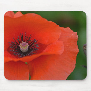Gorgeous Red Poppy Mousepad